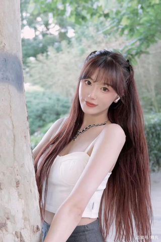 免费高清MV音乐视频