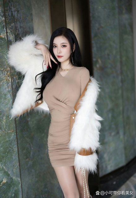 免费高清视频观看平台主界面